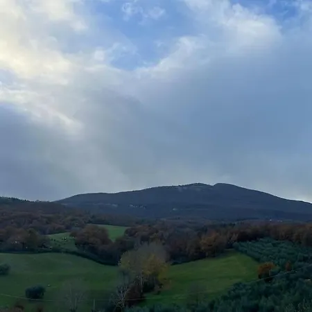 Lejlighed Costa Del Sole 46