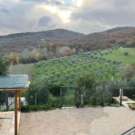 Costa Del Sole 46